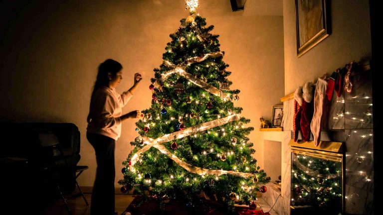 Easy Tips to Recycle Your Christmas Tree