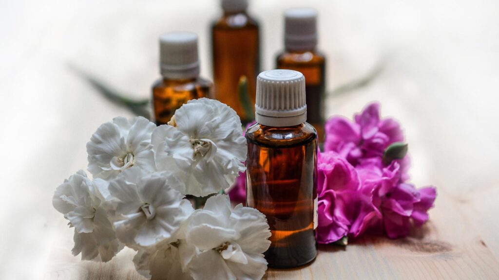 What Makes A Fresh Scent Perfect For Any Season On ezguestpost